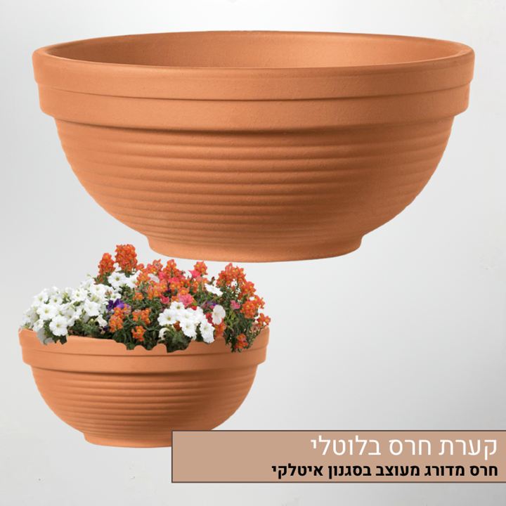 קערת חרס בלוטלי קערת חרס בלוטלי