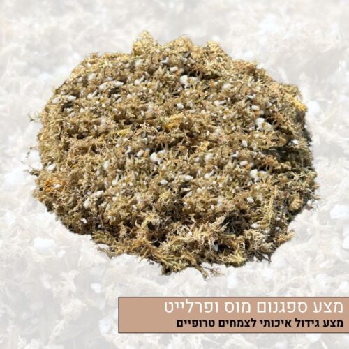 מצע ספגנום מוס ופרלייט מצע ספגנום מוס ופרלייט