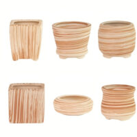 product-1e133b38071-0fb82f42-12ba-4e48-bcf1-401a50c871b8_1000x1000 סט 6 עציצים קרמיים בעיצוב מדברי דקורטיבי - מושלמים לסוקולנטים ופרחים בגודל קומפקטי