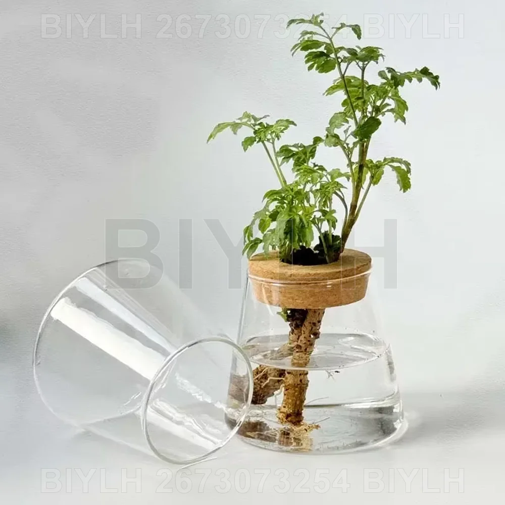 kf-S88f2095746404e108a07cd48c3fa0ceep צנצנות אגרטלים מזכוכית עם מכסה שעם עבה ותחתית במבוק - כלי דקורטיבי לגידול צמחים במים