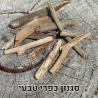 עצי סחף דריפטווד טבעי עצי סחף דריפטווד טבעי