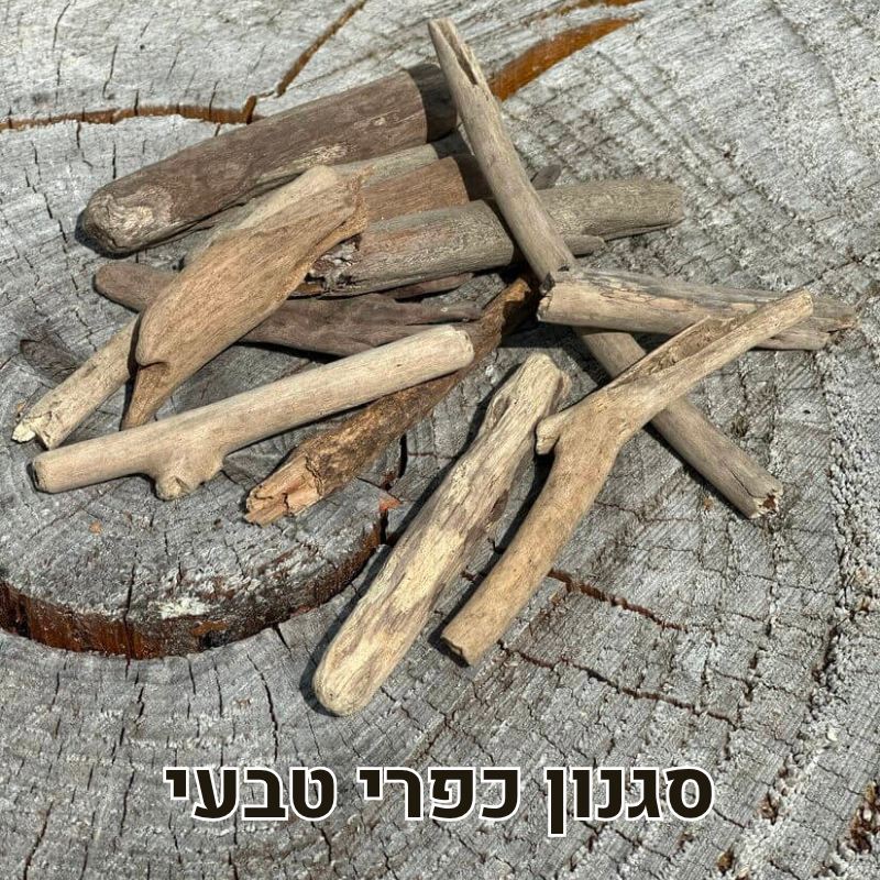 עצי סחף דריפטווד טבעי עצי סחף דריפטווד טבעי