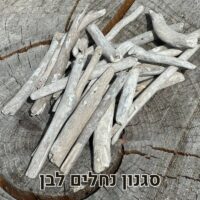 עצי סחף דריפטווד לבן עצי סחף דריפטווד לבן