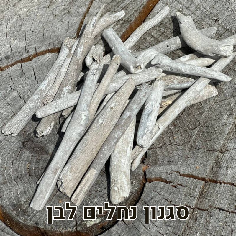 עצי סחף דריפטווד לבן עצי סחף דריפטווד לבן