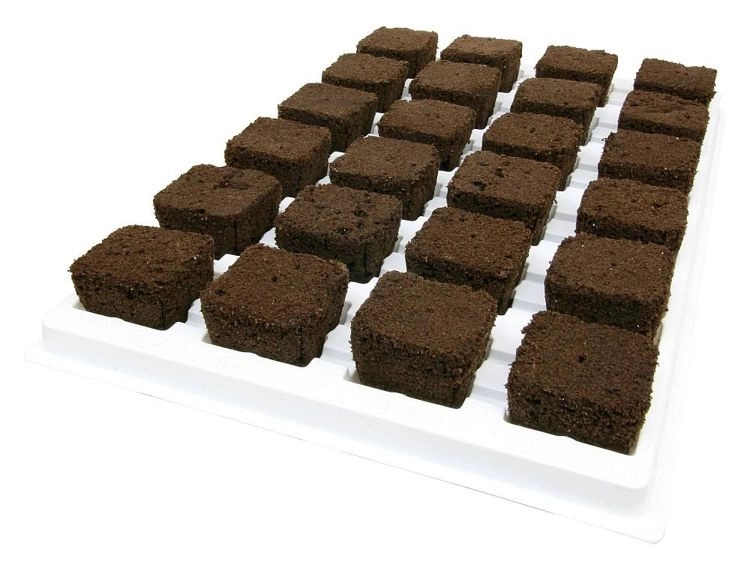 eng_pl_Growth-Technology-Root-Riot-24-cubes-tray-organic-starter-cubes-for-seeds-and-cuttמגש קוביות Root Riotings-3234_5 מגש קוביות Root Riot