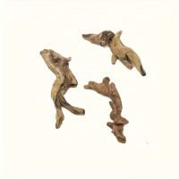 10 ענפי עץ טבעיים דקורטיביים לעיצוב טרריומים - הוסיפו מימד טבעי לטרריום שלכם