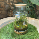 טרריום זכוכית אקו טרריום זכוכית אקו