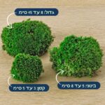 מוס טחב כריות קטן 3 ל 5 סמ. בינוני 5 ל 8 סמ. גדול 8 ל 15 סמ מוס טחב כריות קטן 3 ל 5 סמ. בינוני 5 ל 8 סמ. גדול 8 ל 15 סמ