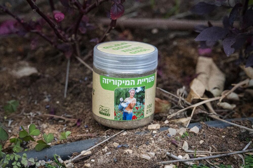 פטריית המיקוריזה 100 גרם אבקתי