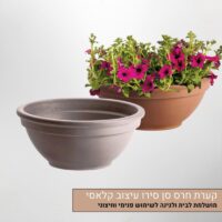 קערה-סן-סירו-טרקוטה