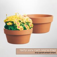 קערה-לאציו-טרקוטה קערת טרקוטה לאציו - עיצוב קלאסי מושלם לצמחים ולעיצוב הבית