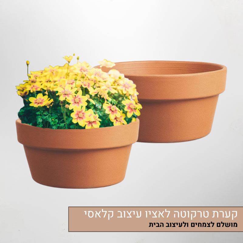 קערה-לאציו-טרקוטה קערת טרקוטה לאציו - עיצוב קלאסי מושלם לצמחים ולעיצוב הבית