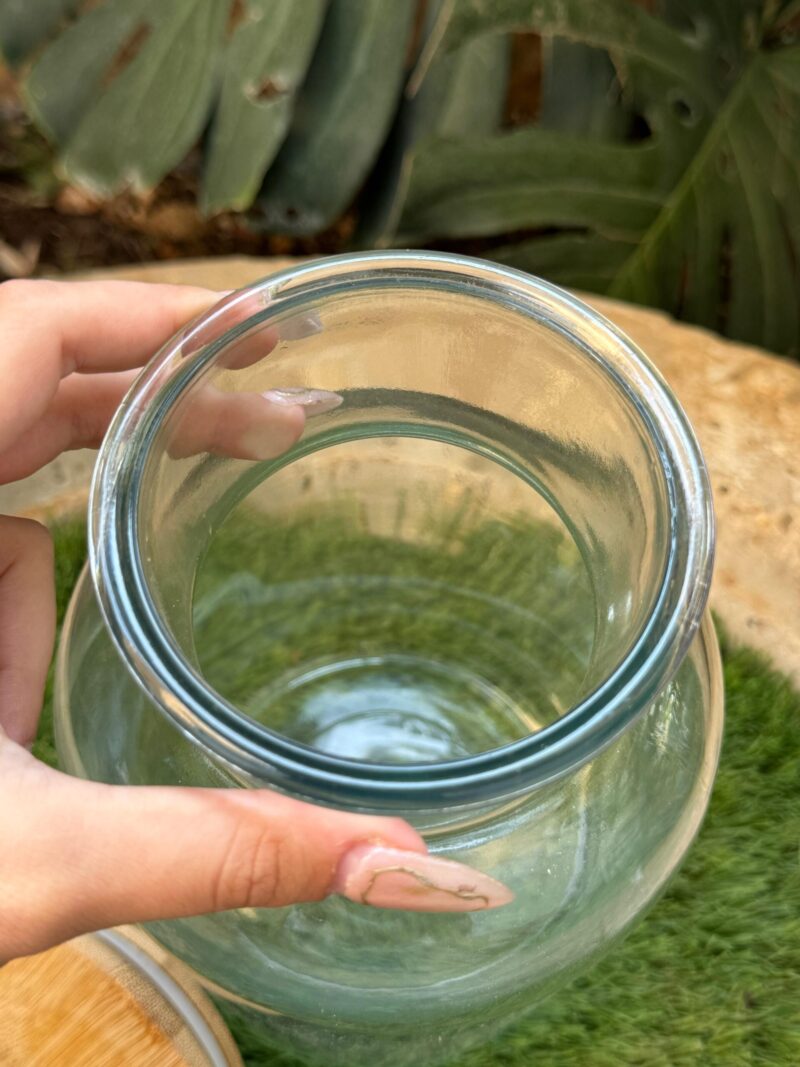 טרריום זכוכית אקו
