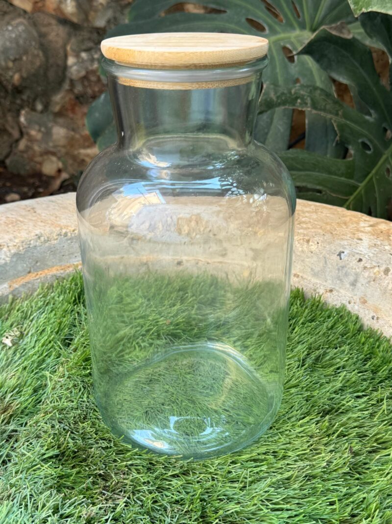 טרריום זכוכית אקו