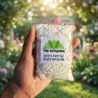 קליפות ביצים אורגניות לצמחי בית וגינה קליפות ביצים אורגניות לצמחי בית וגינה