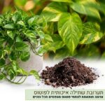 תערובת שתילה מקצועית לפוטוס תערובת שתילה מקצועית לפוטוס