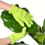 product-algo_check-auto-2ffb113b498802b11946606b0456989d_1753068905699 כפפות מיקרופייבר איכותיות לניקוי וטיפוח עלי צמחים עדינים.