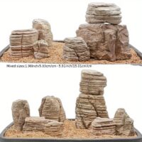 סט 6 אבנים דקורטיביות Dragon Bone לעיצוב הטרריום וליצירת מיקרו נוף טבעי