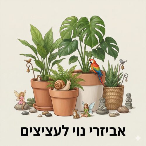 אביזרי נוי לעציצים אביזרי נוי לעציצים