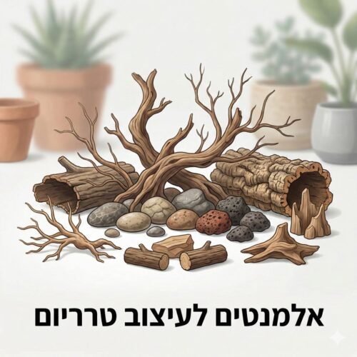 אלמנטים לעיצוב טרריום