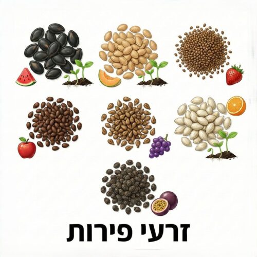 זרעי פירות זרעי פירות