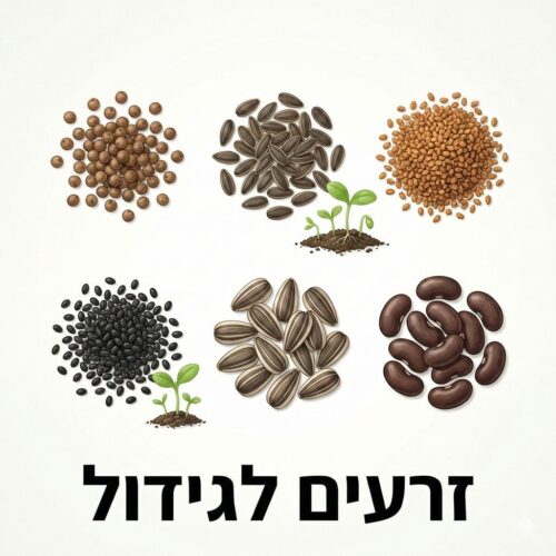 זרעים לגידול זרעים לגידול