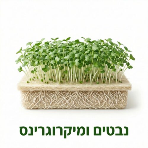 נבטים ומיקרוגרינס נבטים ומיקרוגרינס