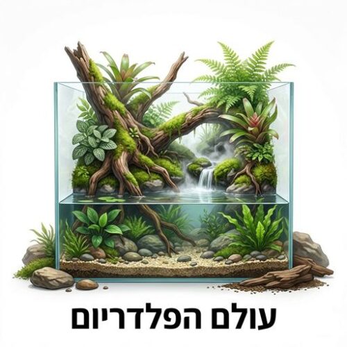 עולם הפלדריום עולם הפלדריום