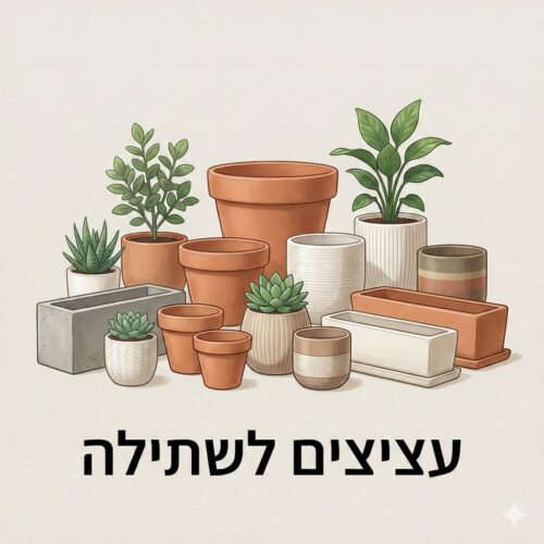 עציצים לשתילה עציצים לשתילה