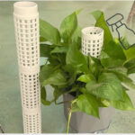 product-open-5798b5223e3245a3bfe629d162472a3c-goods 6 עמודי תמיכה טחב ספגנום מתחברים עבור צמחים מטפסים - תמיכה מושלמת למונסטרה, פילודנדרון, פוטוס ועוד