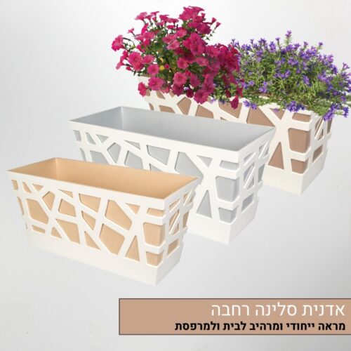 אדנית סלינה רחבה אדנית סלינה רחבה