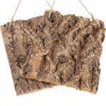 קליפות עץ טבעיות לתליית סחלבים (3) קליפות עץ טבעיות לתליית סחלבים