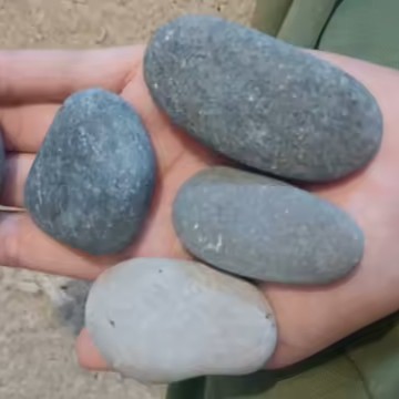 אבני נוי שטוחות לטרריומים ולעציצים - מגע טבעי קטן שעושה הבדל גדול
