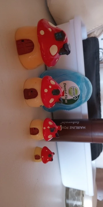 בתי פטריות יער מיניאטורית לעיצוב ושדרוג הטרריום וגינת פיות (4 גדלים לבחירה) photo review