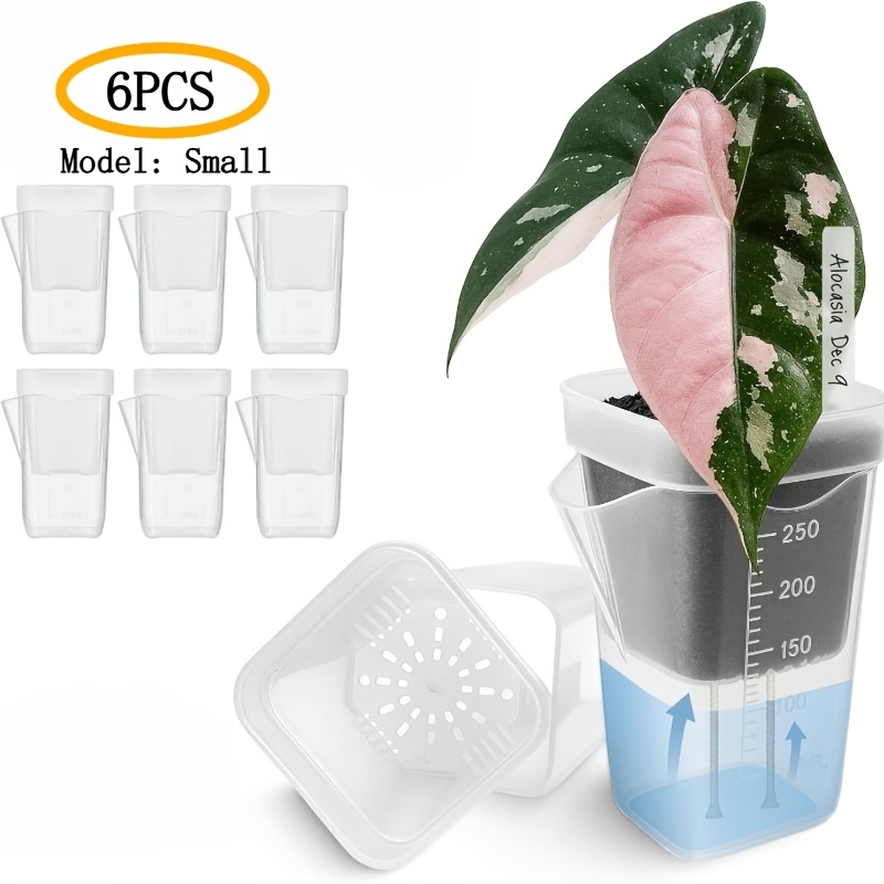product-fancy-335b4b36-c10c-420b-98f9-4f1bbffd9b36 עציץ סמי הידרו שקוף - עציץ השקיה עצמית לצמחי בית ולהשרשת ייחורים