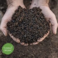 קומפוצ’אר (CompoChar) קומפוסט מועשר ביוצ’אר לשיפור הקרקע והעצמת הצמיחה קומפוצ’אר (CompoChar) קומפוסט מועשר ביוצ’אר לשיפור הקרקע והעצמת הצמיחה
