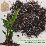 תערובת שתילה לזמיה קוקוס תערובת שתילה לזמיה קוקוס