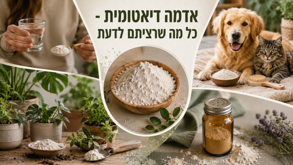 אדמה דיאטומית כל מה שרציתם לדעת אדמה דיאטומית כל מה שרציתם לדעת