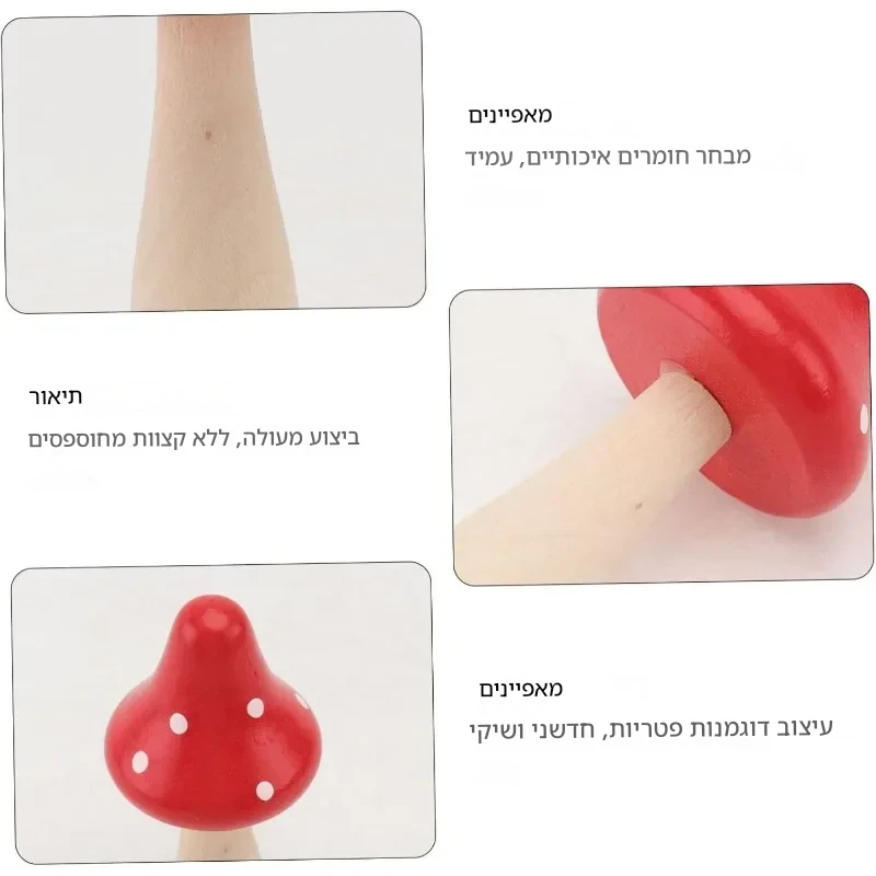 פטריות עץ לעיצוב עציצים פטריות עץ לעיצוב עציצים
