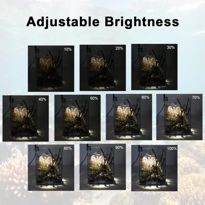 kf-S908fd5062aaf47cfb3e595356a799119F תאורת LED קומפקטית לטרריום - מנורת גידול עם ראש מתכוונן וקליפס