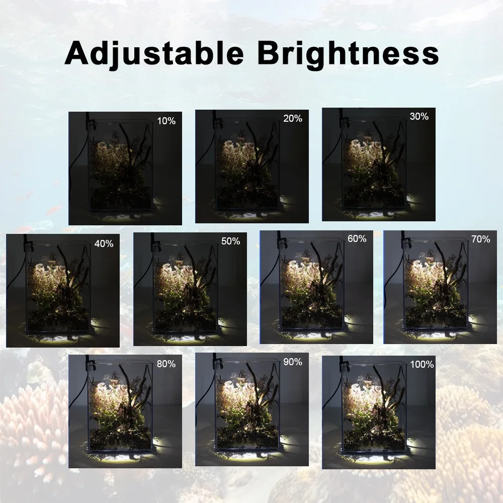 kf-S908fd5062aaf47cfb3e595356a799119F תאורת LED קומפקטית לטרריום - מנורת גידול עם ראש מתכוונן וקליפס
