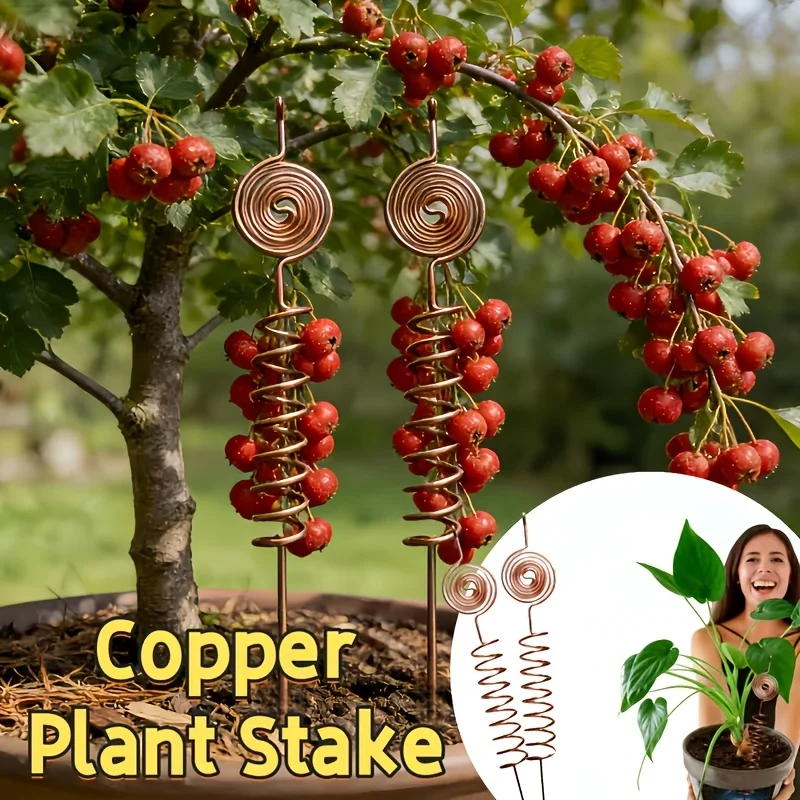 lectroplated copper garden antenna kit אנטנת נחושת Electroculture מיוחדת לצמחים - מוט נחושת בעיצוב ספירלה 25 ס"מ