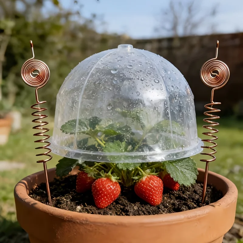lectroplated copper garden antenna kit אנטנת נחושת Electroculture מיוחדת לצמחים - מוט נחושת בעיצוב ספירלה 25 ס"מ