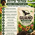 גואנו עטלפי פירות אורגני וטבעי (3) גואנו עטלפי פירות אורגני וטבעי (3)