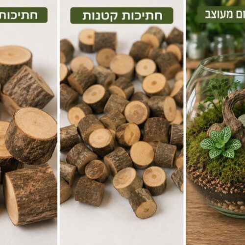גזעי עץ מיניאטוריים טבעיים לטרריומים