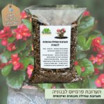 תערובת שתילה איכותית לבגוניה תערובת שתילה איכותית לבגוניה
