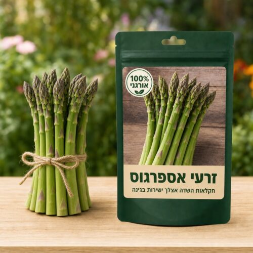 זרעי אספרגוס זרעי אספרגוס - Asparagus 🌱