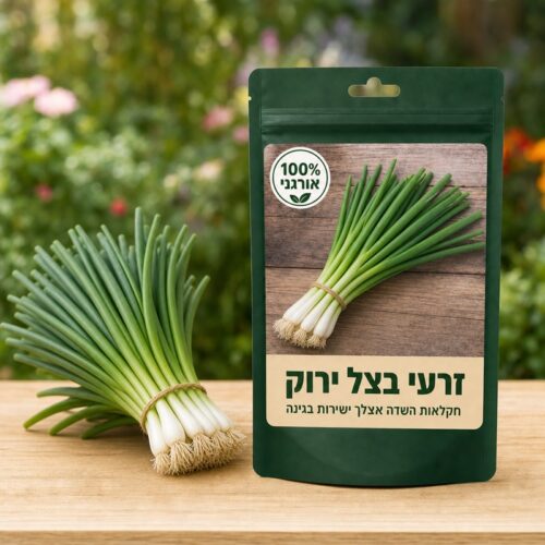 זרעי בצל ירוק זרעי בצל ירוק - Green onion🧅