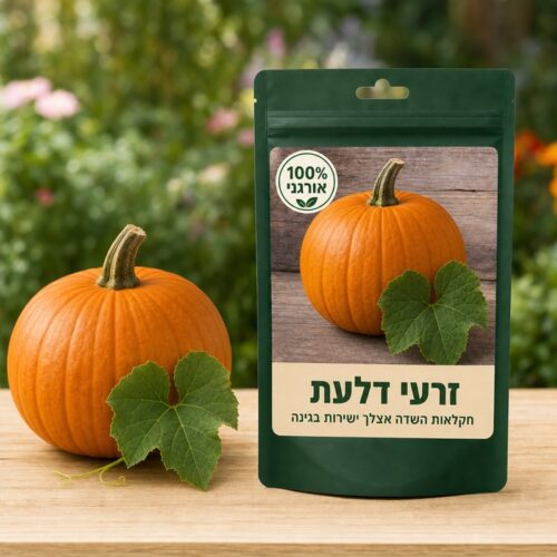 זרעי דלעת זרעי דלעת 🎃