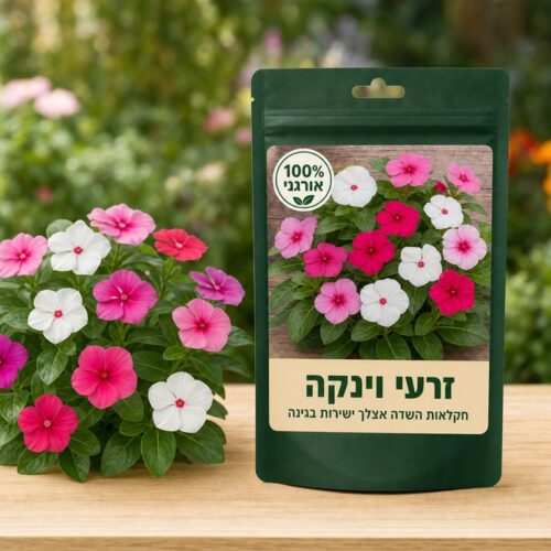 זרעי וינקה זרעי וינקה - Vinca mix🌸